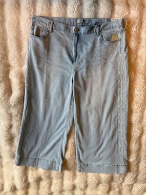 NWT Liverpool The Stride Embroidered Cropped Jeans Marine Flowers 18W